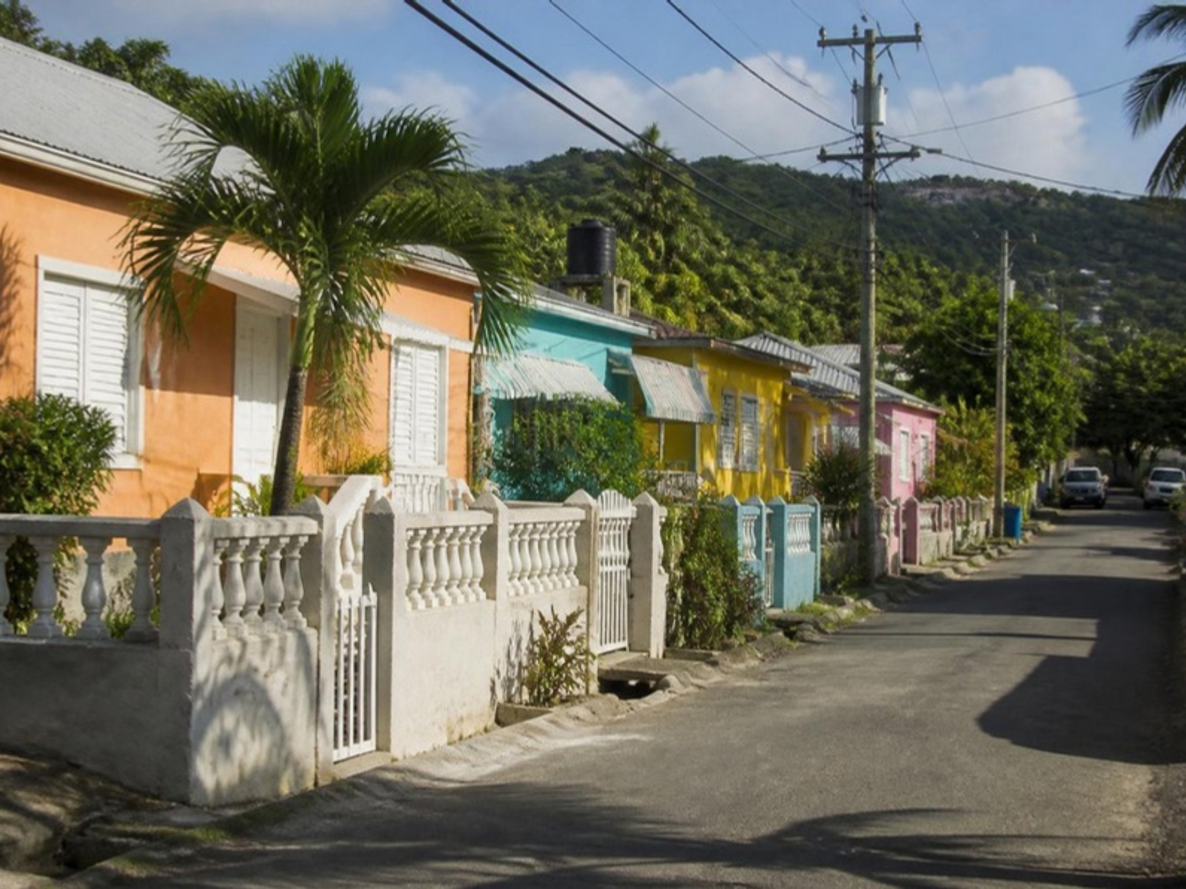 A colorful Jamaican residential street lined with palm trees in daylight